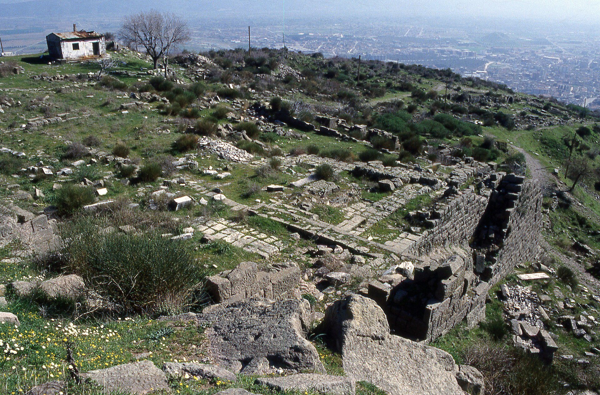 Seven Churches of Revelation